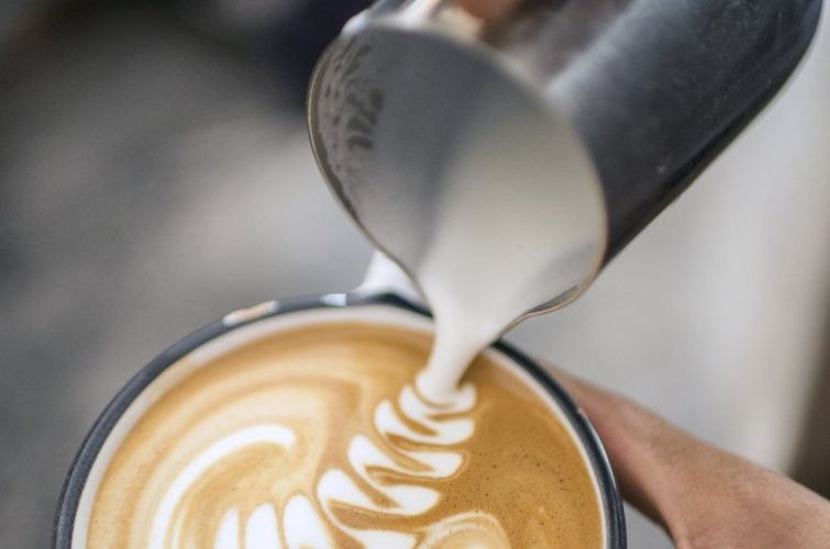 Cómo Elegir la Mejor Leche Para la Espuma y Arte Latte - Perfect Daily  Grind Español