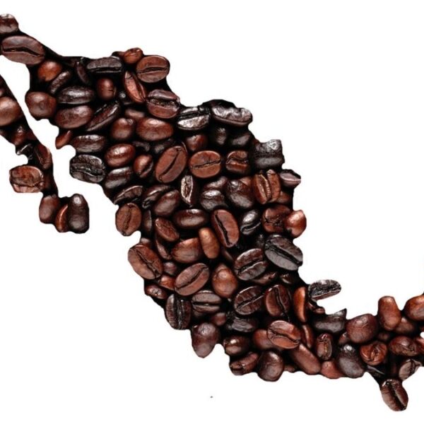 Variedades de café cultivadas en México