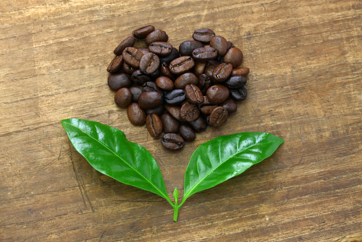 Economía circular en la industria del café